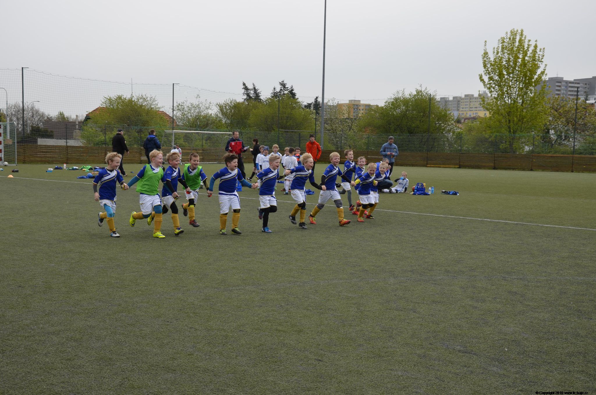 Mlad ppravka 2008 - Aritma