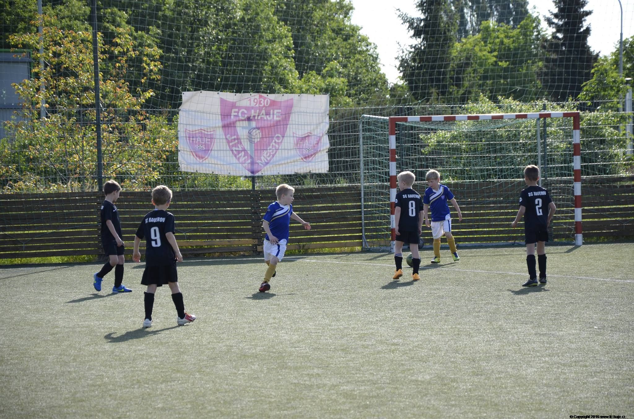 Mlad ppravka 2008 - Xaverov