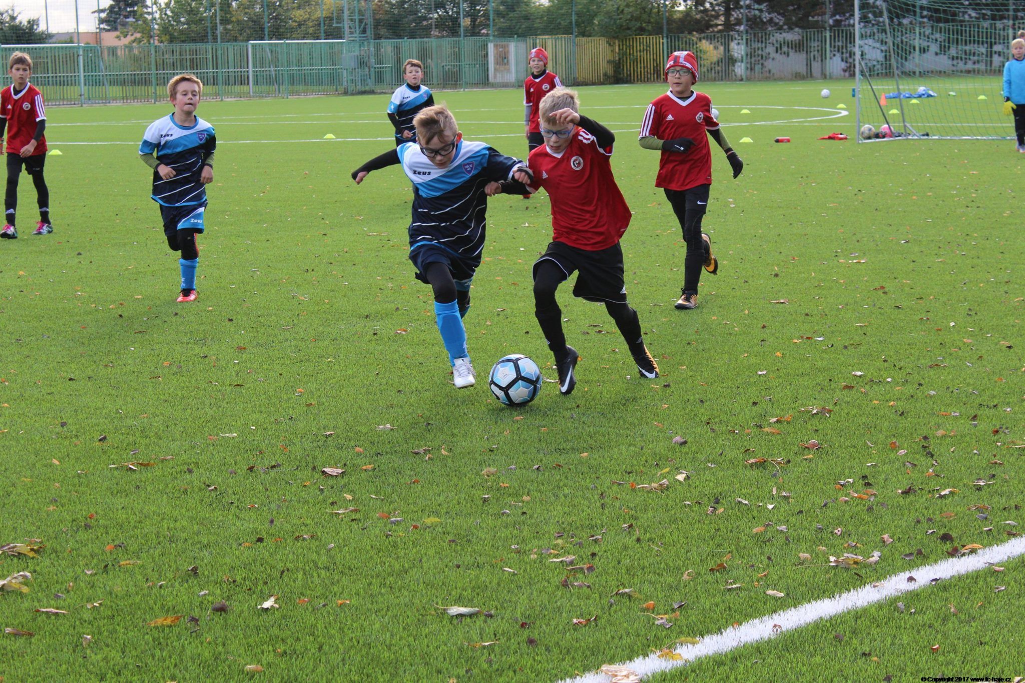 Ronk 2008: Vyhrl draznj Xaverov