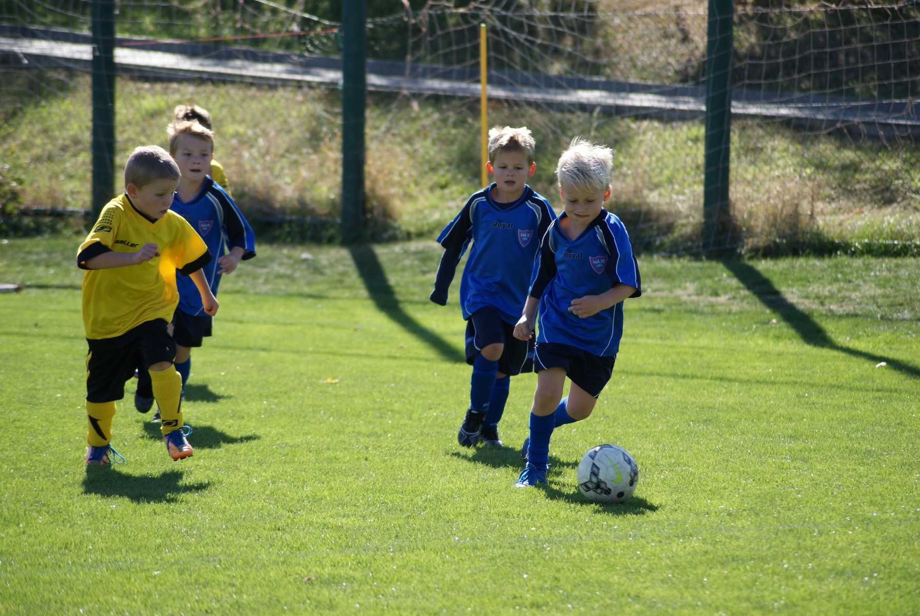 Pedppravka 2009 - trboholy