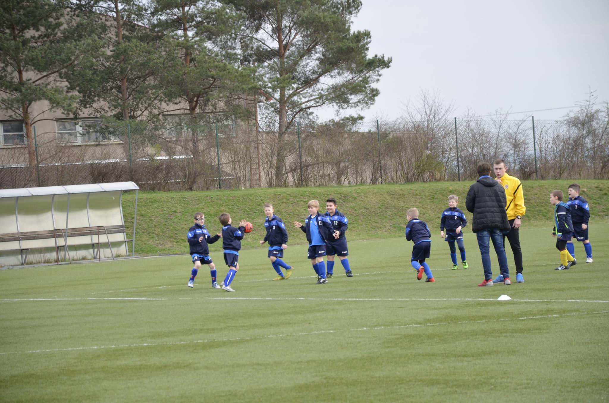 Ronk 2008: Nedvme gly