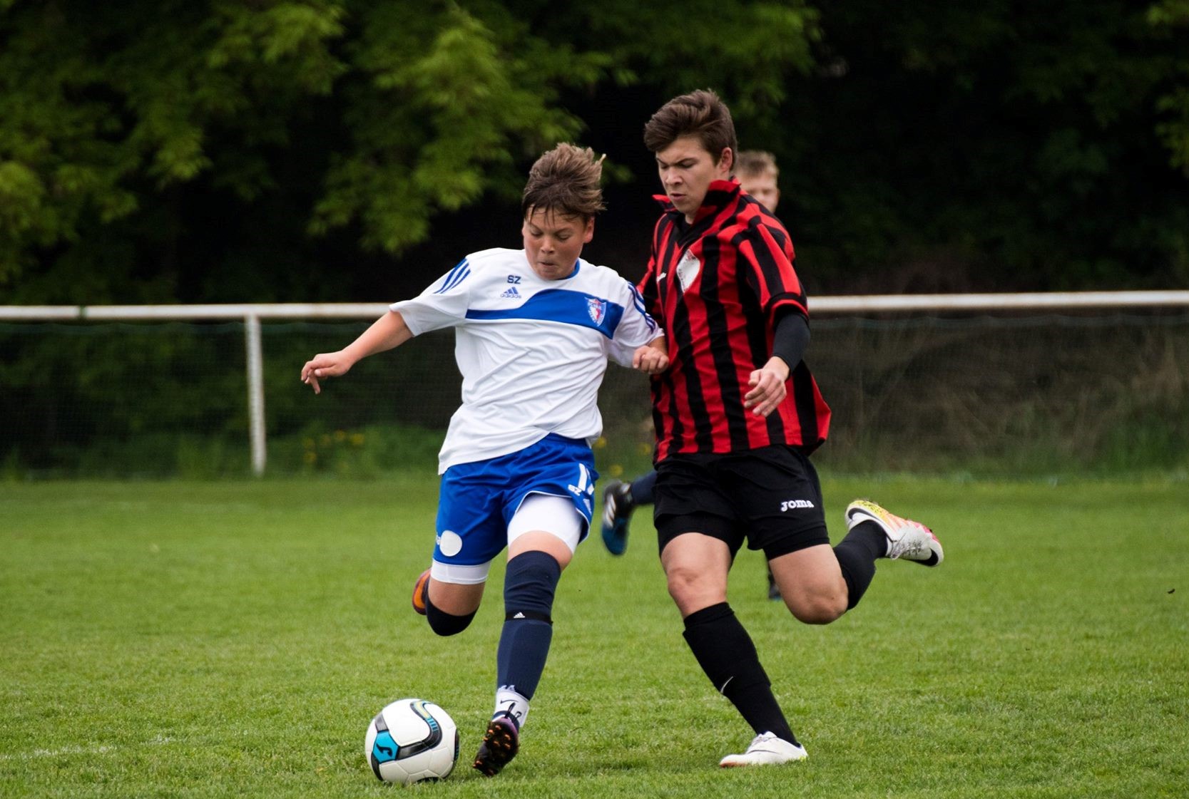 Ronk 2002: Dleit vhra s Vrovicemi