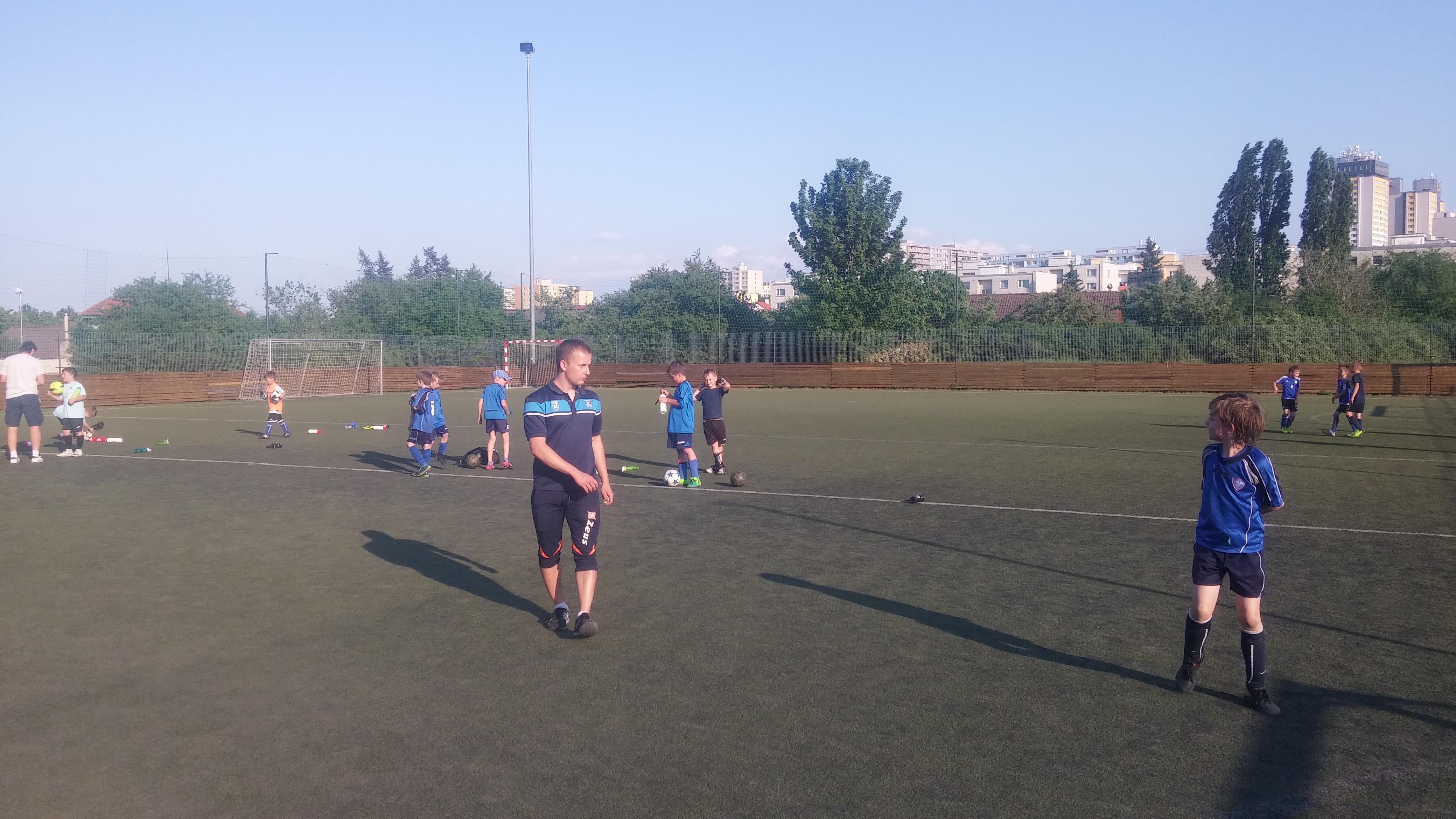 Ronk 2009: Slunen glov nedle