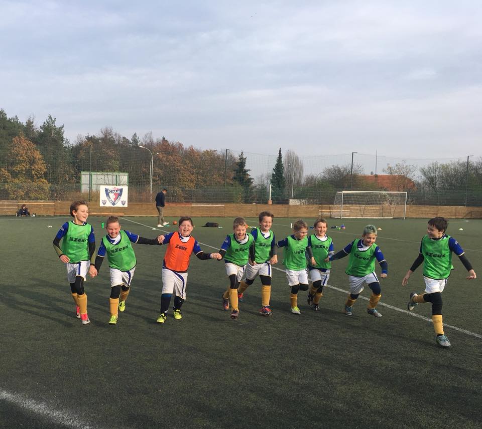 Ronk 2008: Zlepen vkony