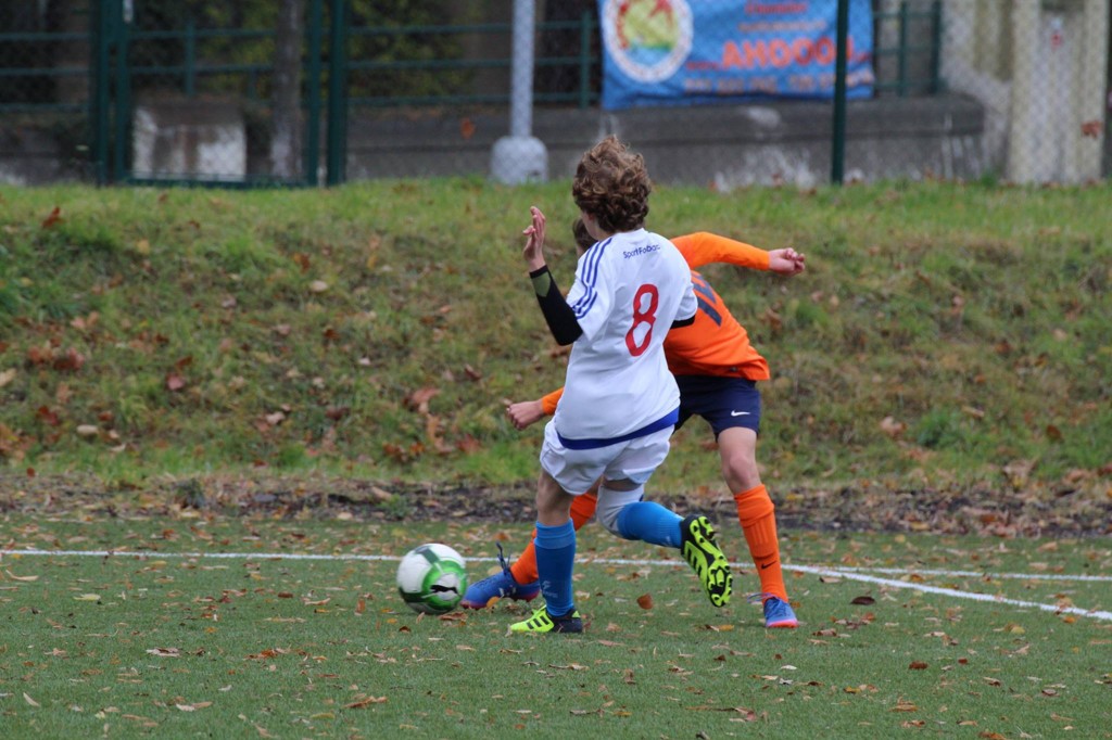 Ronk 2004: Tsn porka v Chomutov