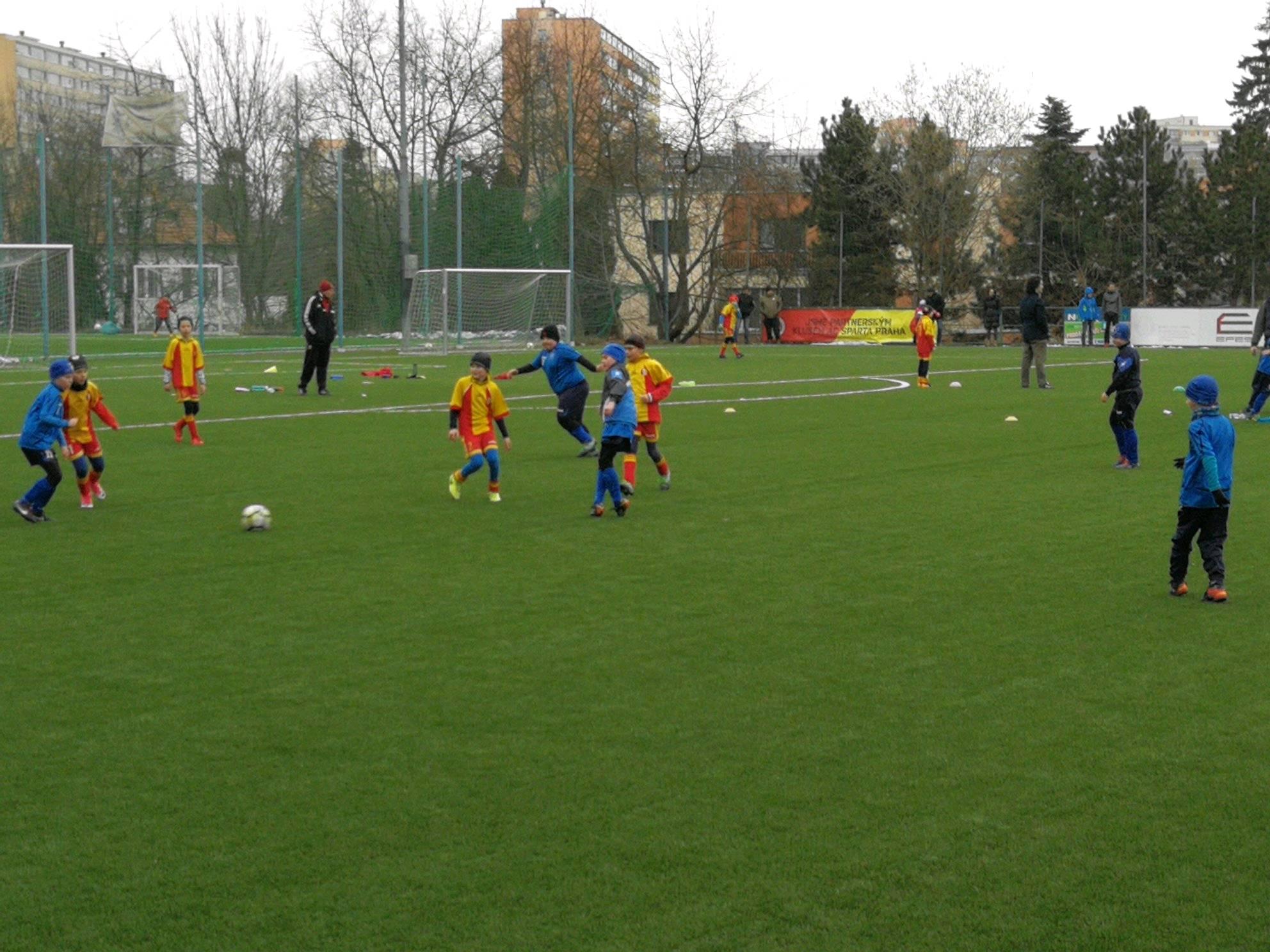 Ronk 2008: Nedvme gly