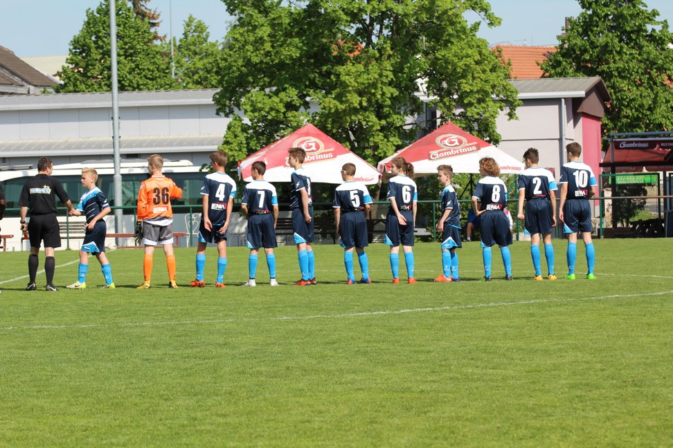 Ronk 2004: Roudnice, Litomicko a Litvnov