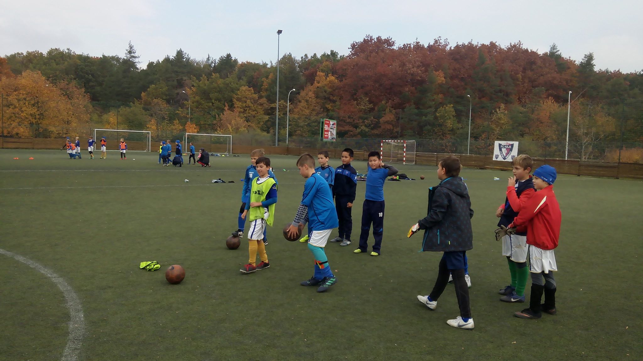 Ronk 2009: Ptelk s Podolm