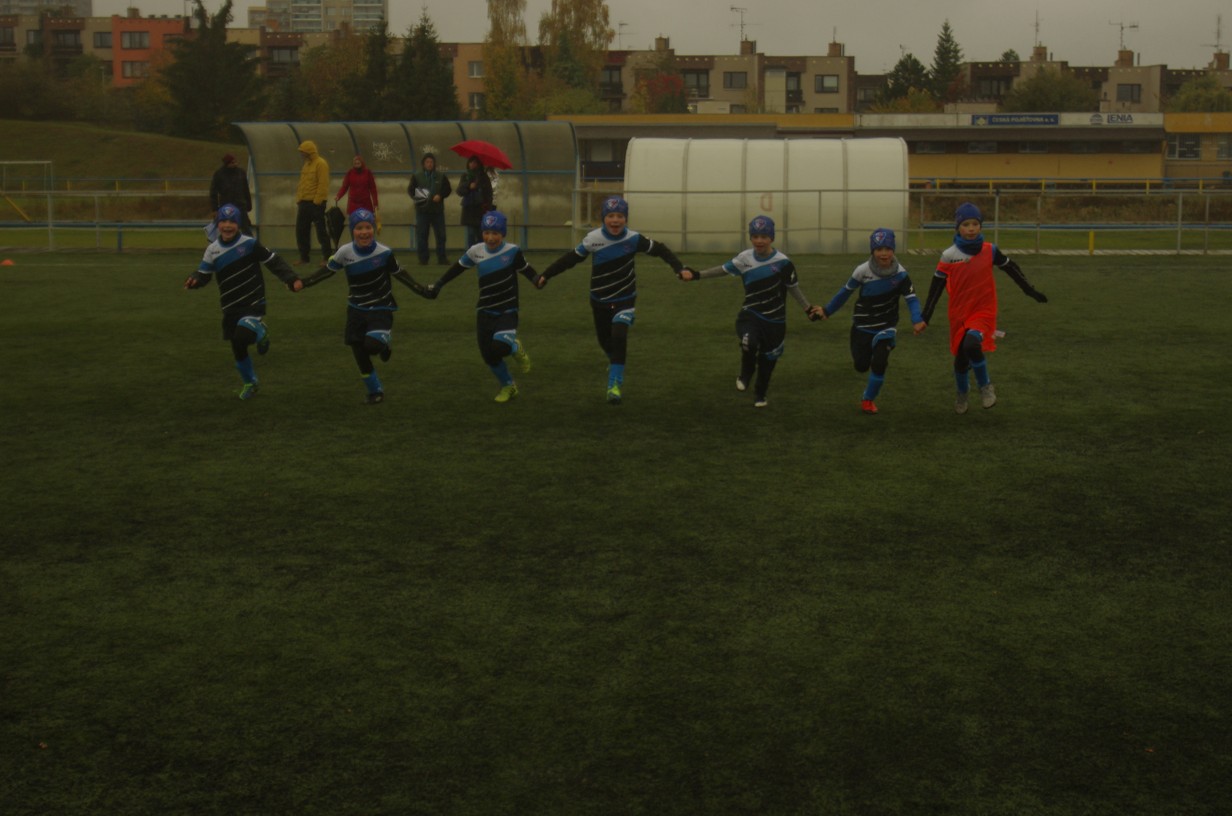 Ronk 2010: Nezmrzli jsme