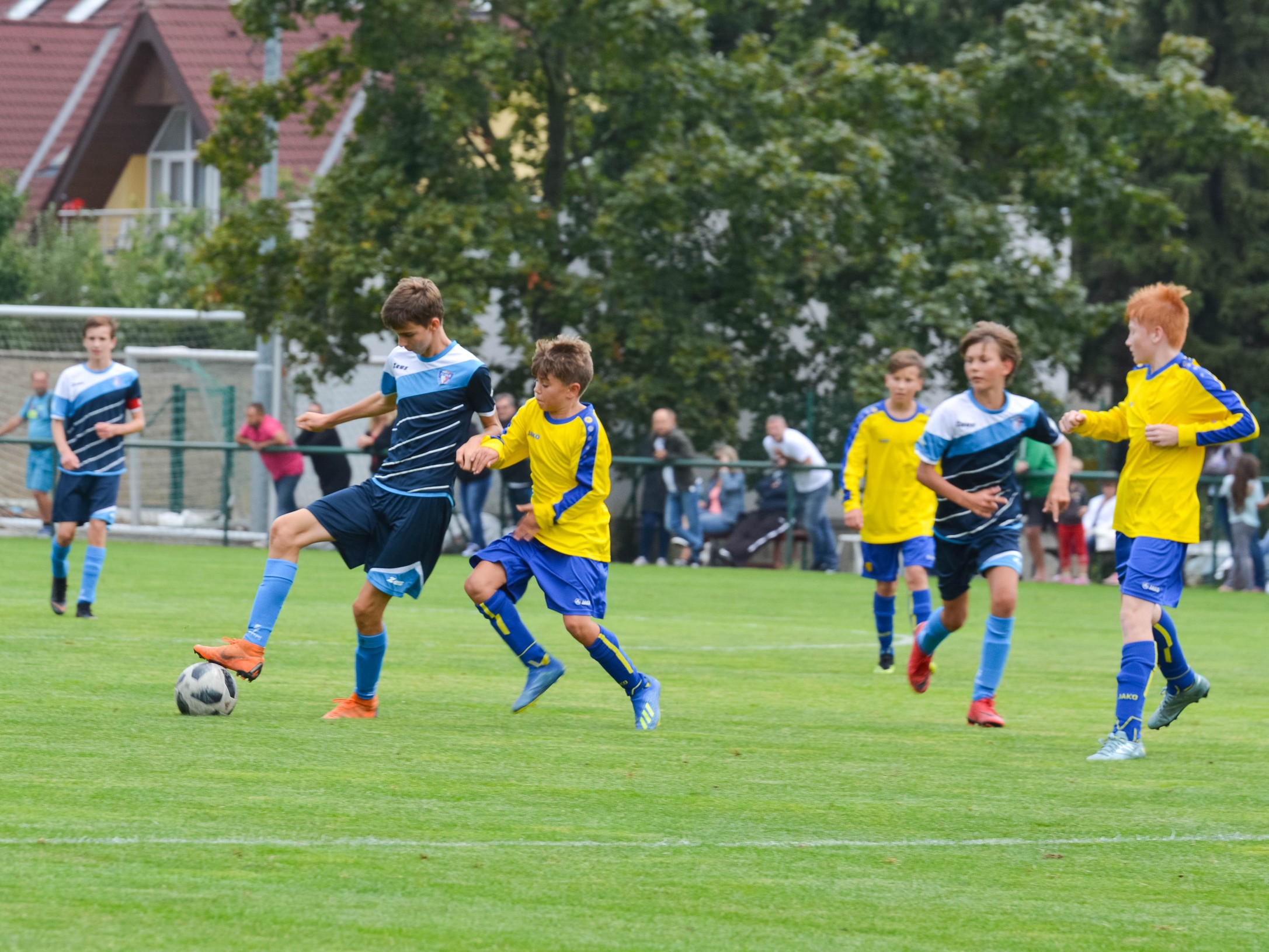 Ronk 2005: Prvn vtzstv v divizi