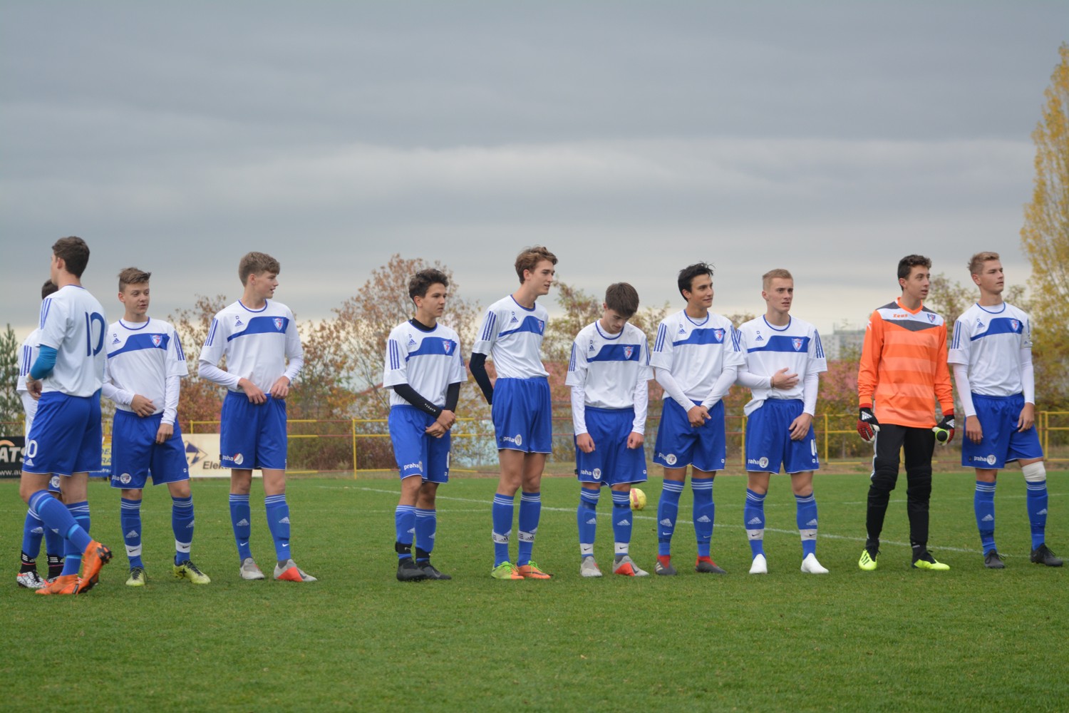 Star dorost: est gl v sti Kaerova