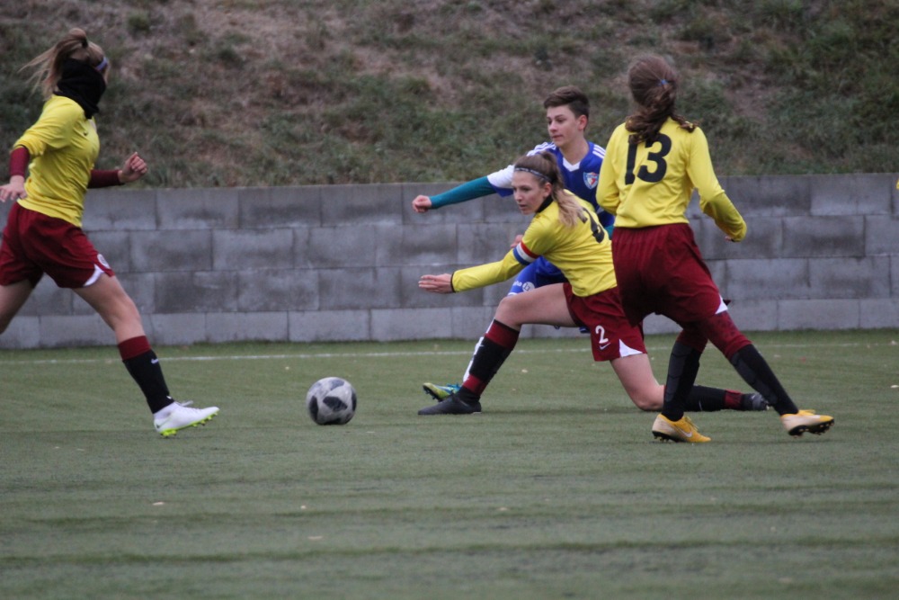 Ronk 2004: Ptelk s dvaty