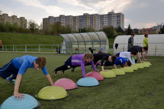 Ronk 2003: Nov model ptenho trninku 