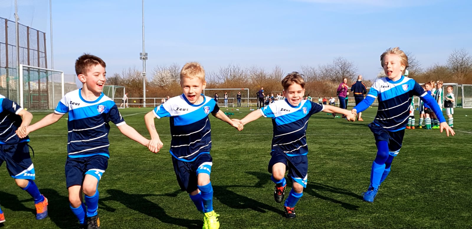 Ronk 2011: Krsn domc zpas