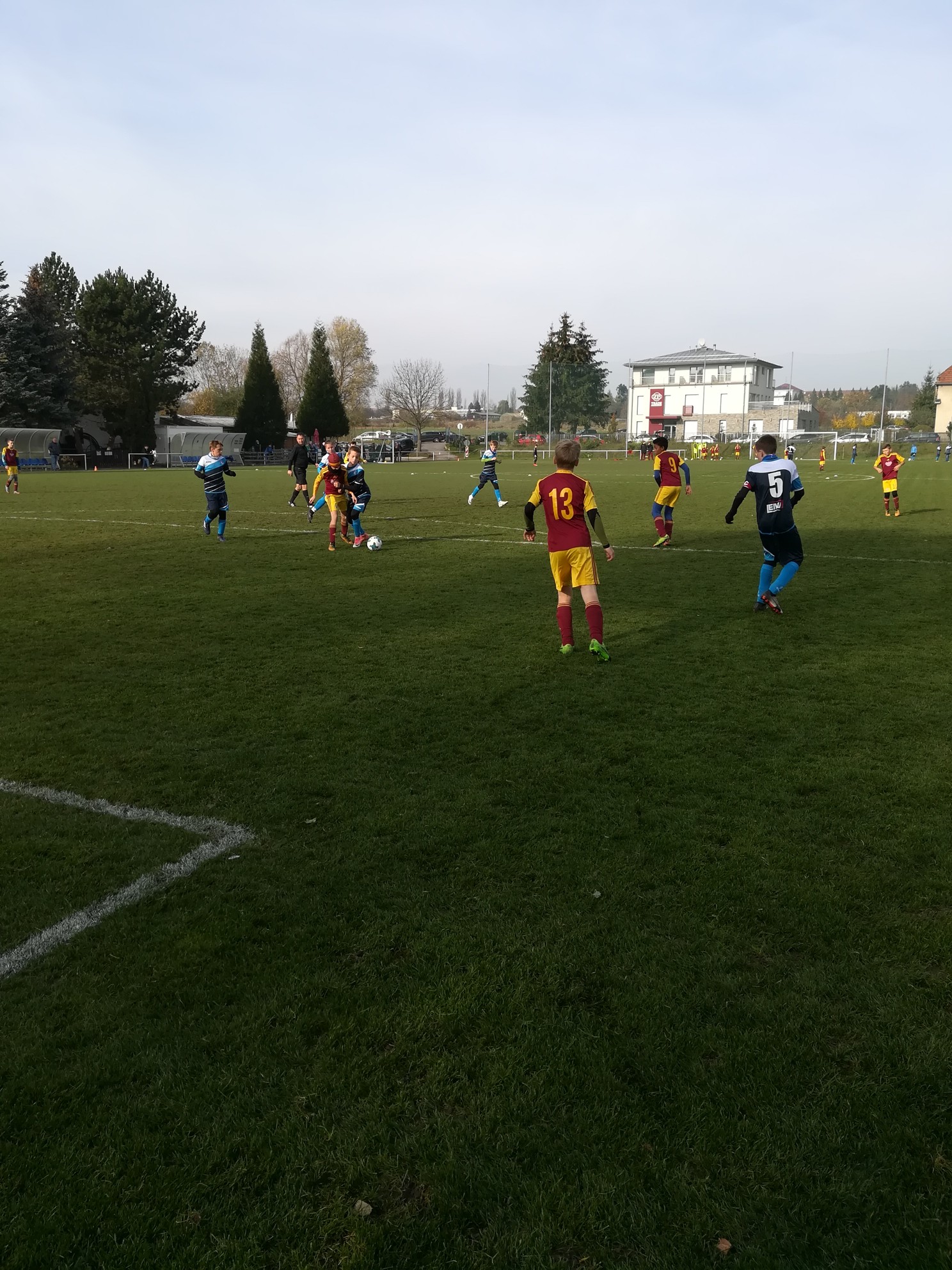 Ronk 2005: Prvn tetina ukzala nai slu