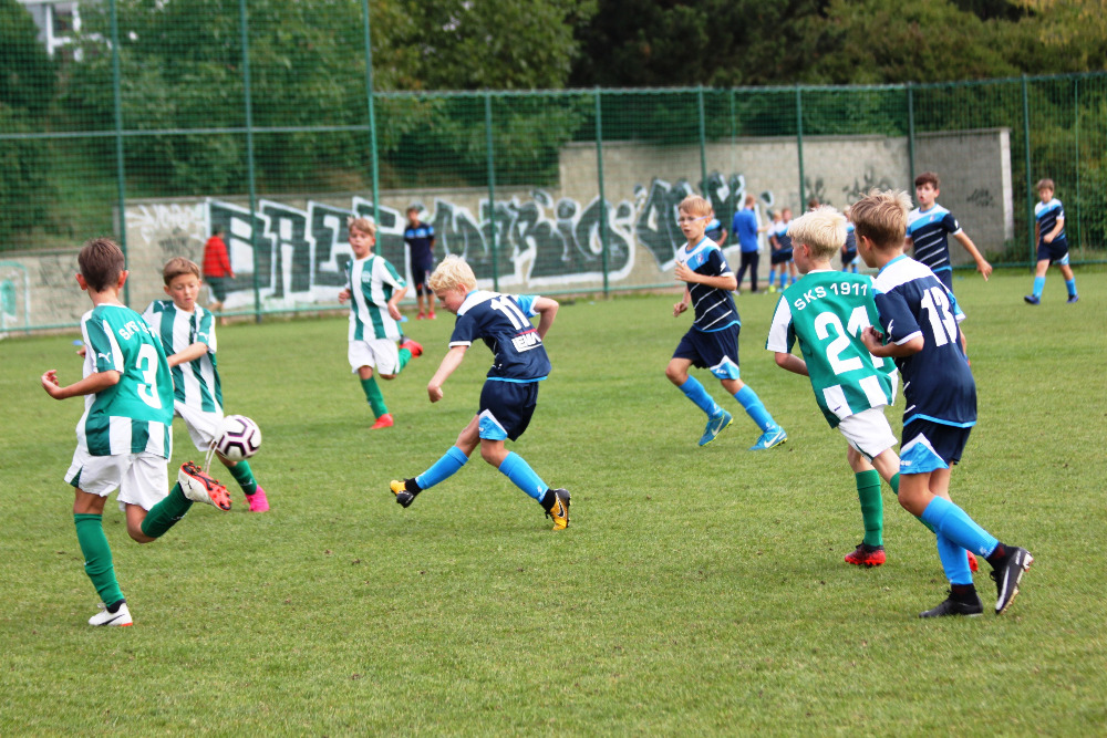 Ronk 2008: Vtzn ligov nedle