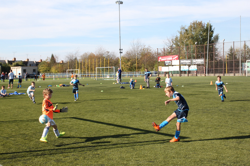 Ronk 2011: Zvren domc pedstaven