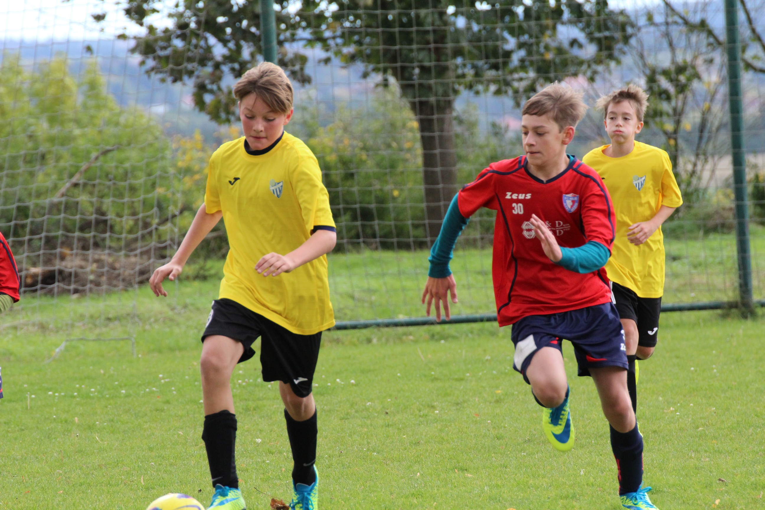 Ronk 2004: Vhra s Vrovicemi