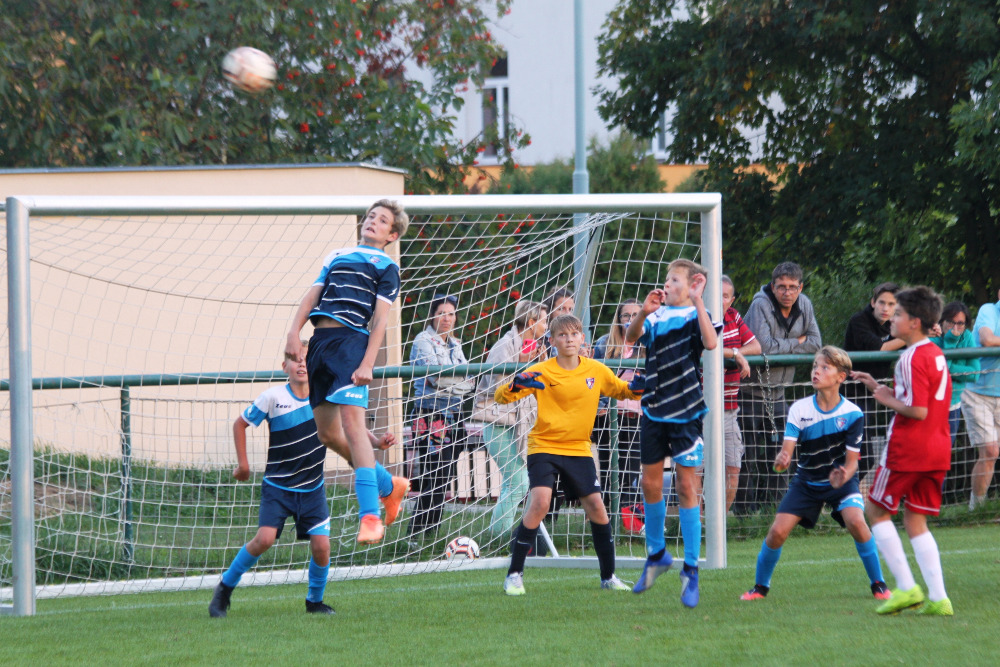 Ronk 2009: Pnov, vy tam jen stnujete