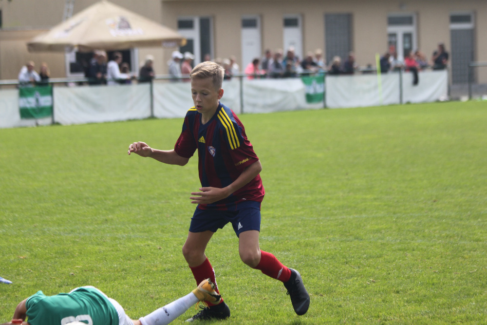 Ronk 2009: Hlava je alfou i omegou