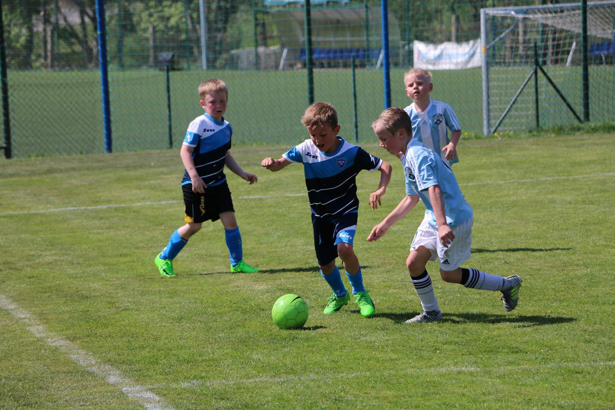 Ronk 2010: Vydaen odveta na Branku