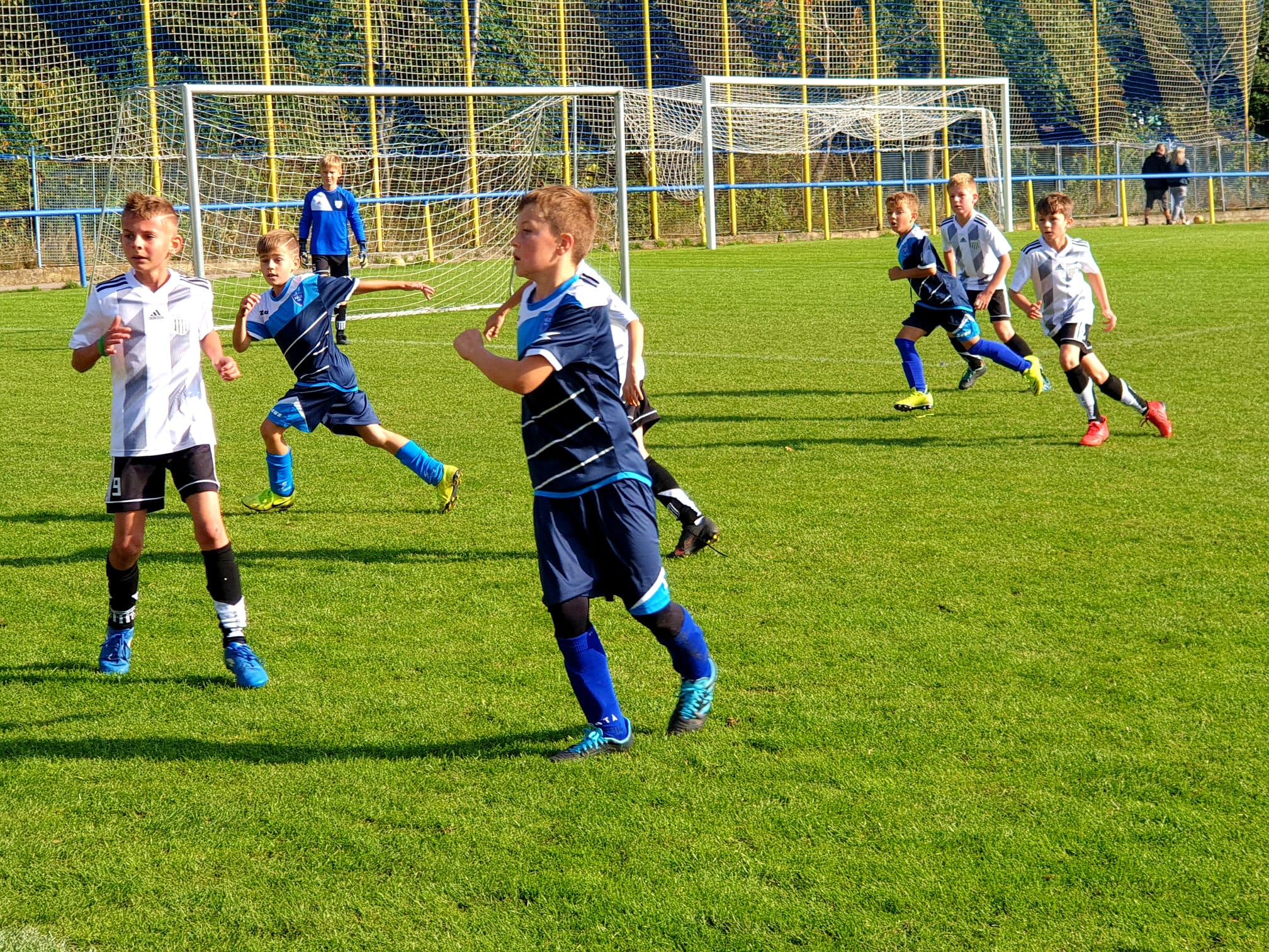 Ronk 2012: Dal hlasit vhra