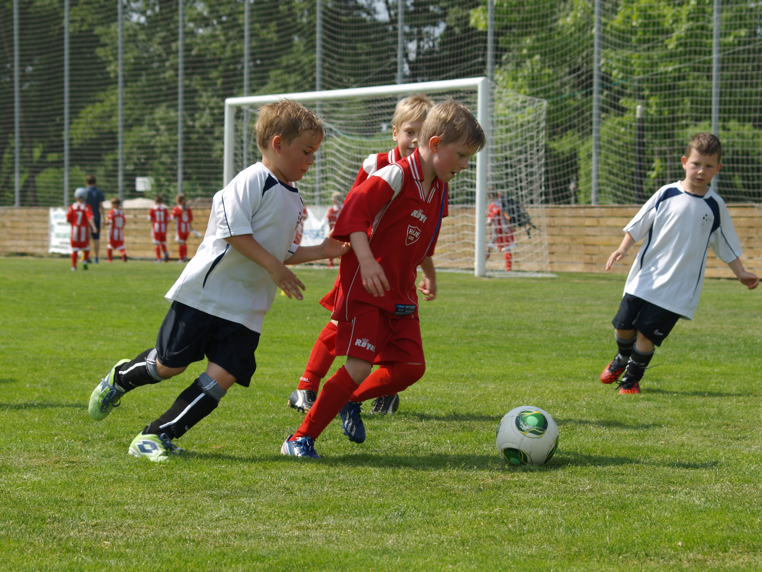 Pedppravka 2008: Mini Cup