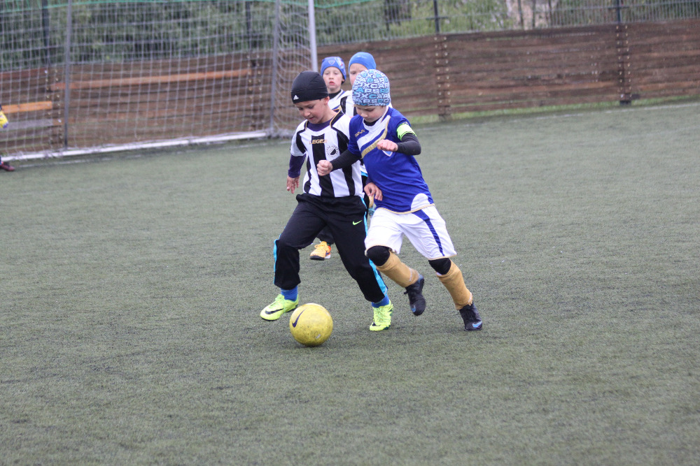 Ronk 2009: Slunen nedle v blicch