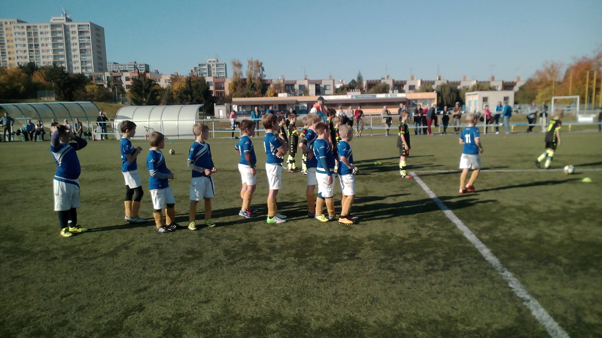 Ronk 2008: est statench