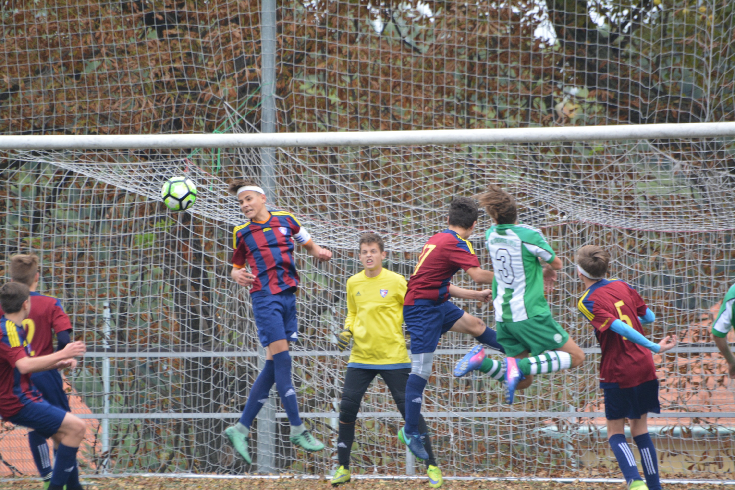 Ronk 2003: Zvldnut utkn ve Steovicch