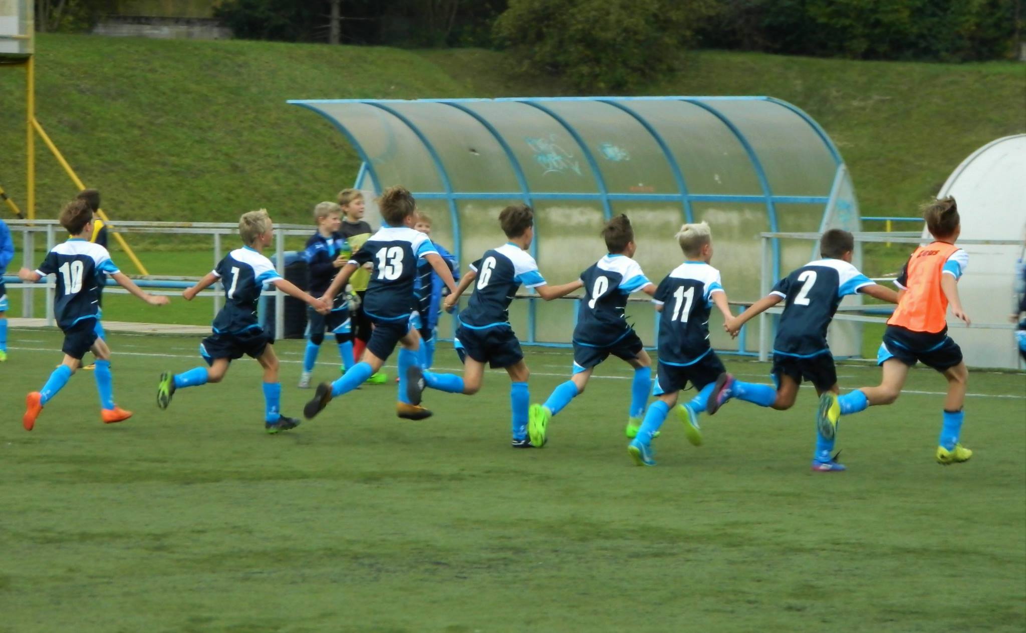 Ronk 2007: Po houbch pilo vtzstv