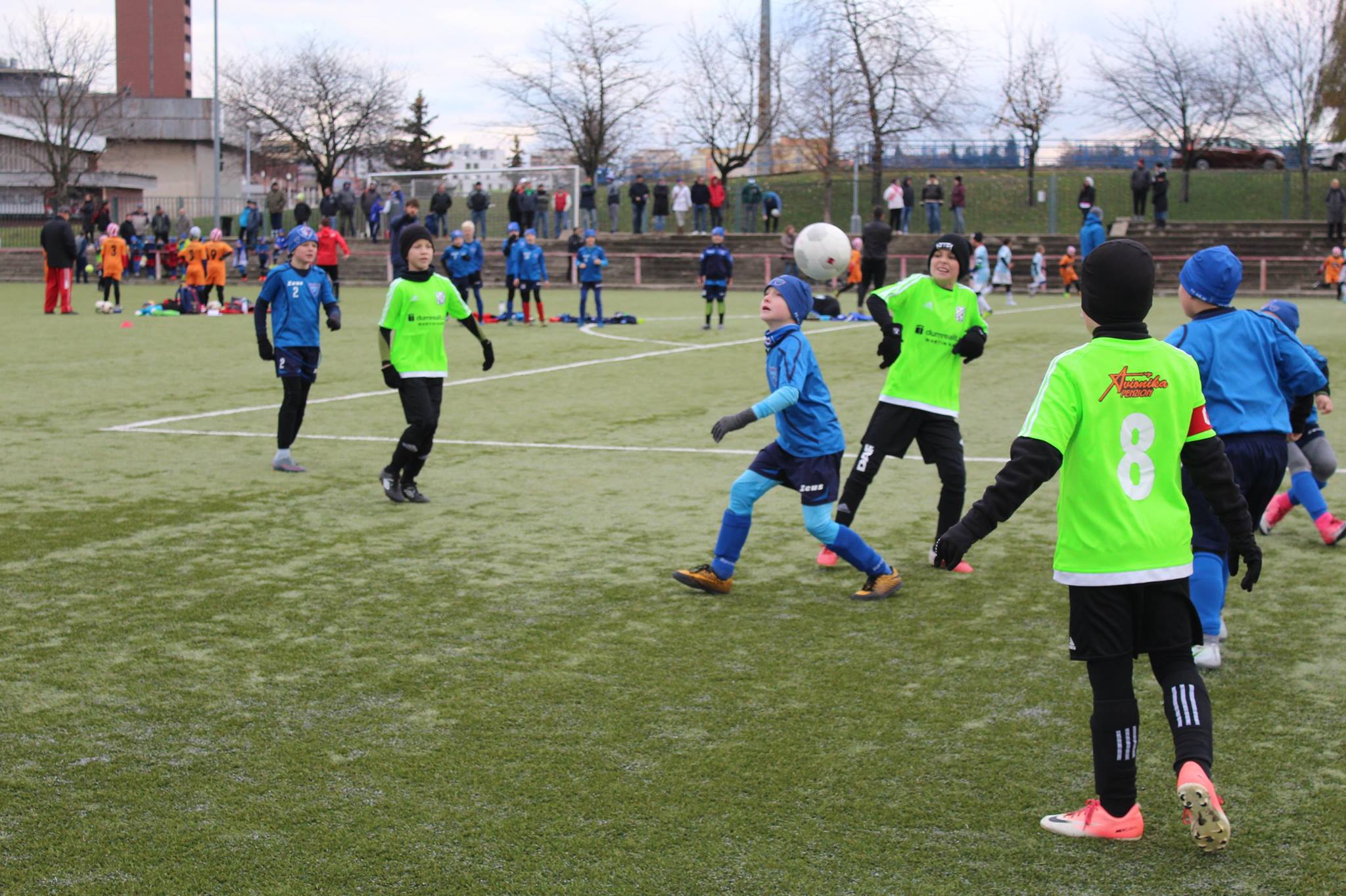 Ronk 2008: Festival nepromnnch anc