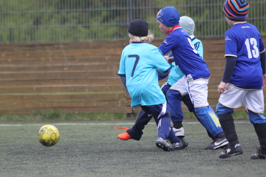 Ronk 2009: Novci se rychle adaptovali