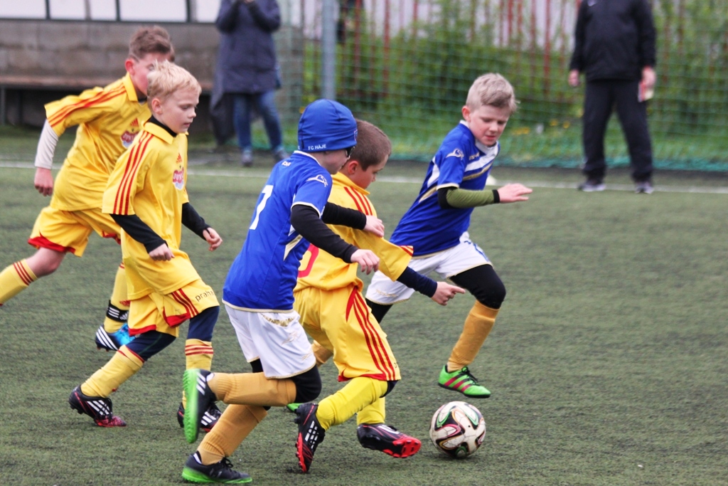 Ronk 2008: Skvl vkony pokrauj