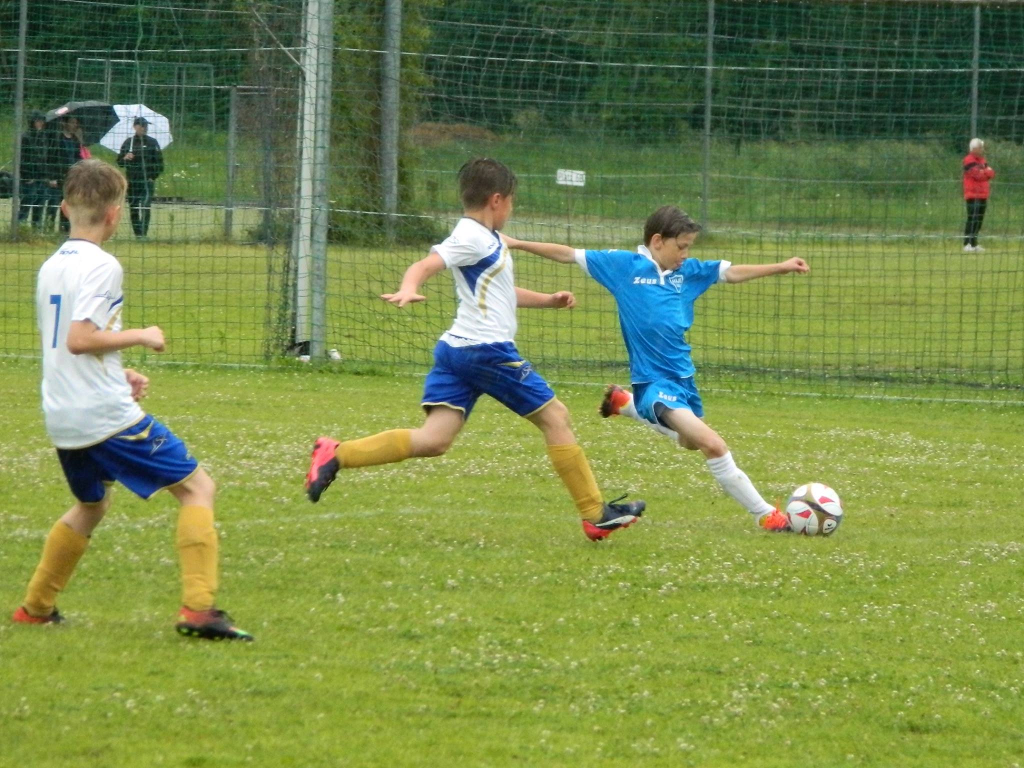 Ronk 2007: Glov pestelka se Svticemi