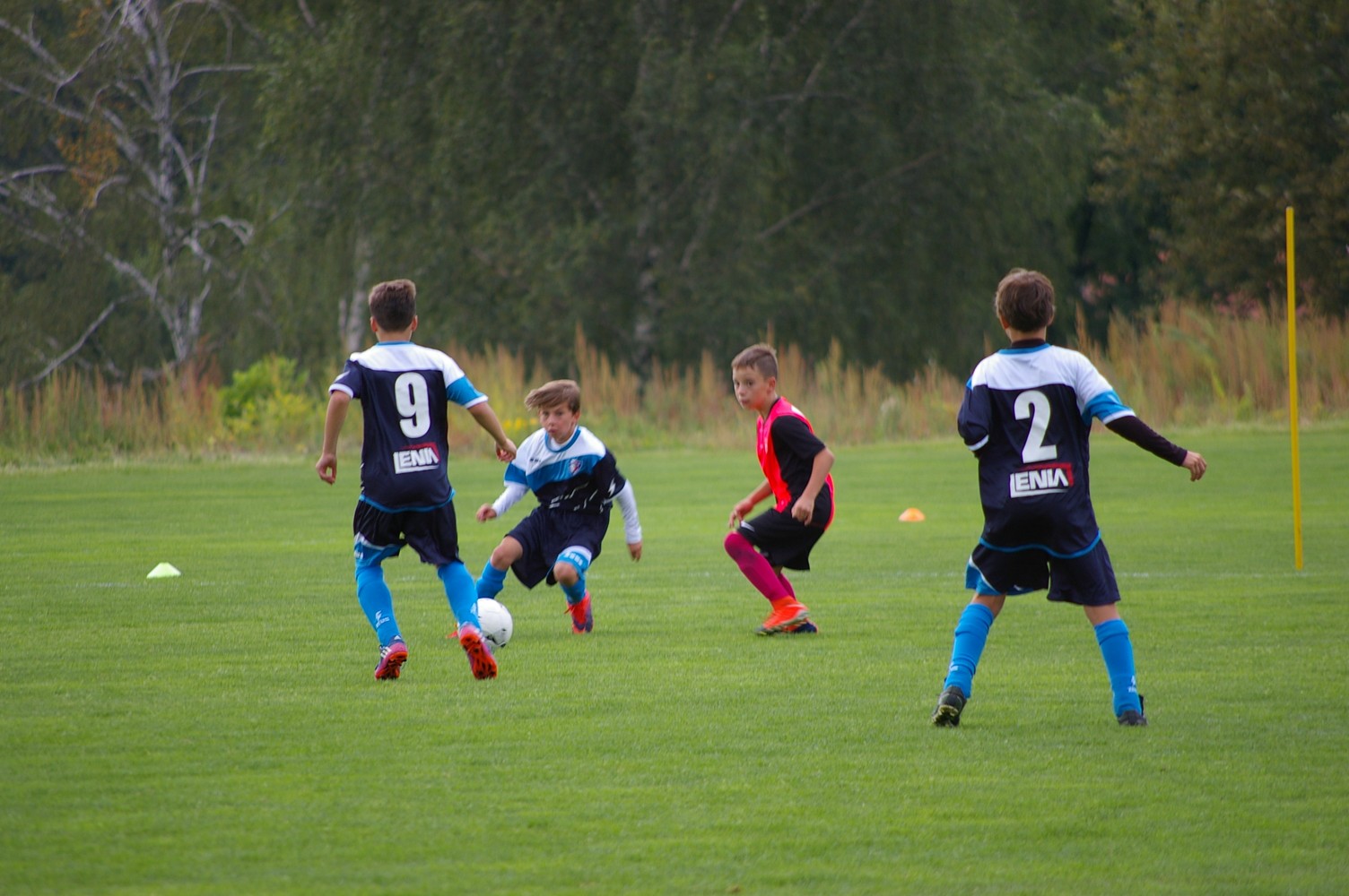 Ronk 2006: Nron anglick tden