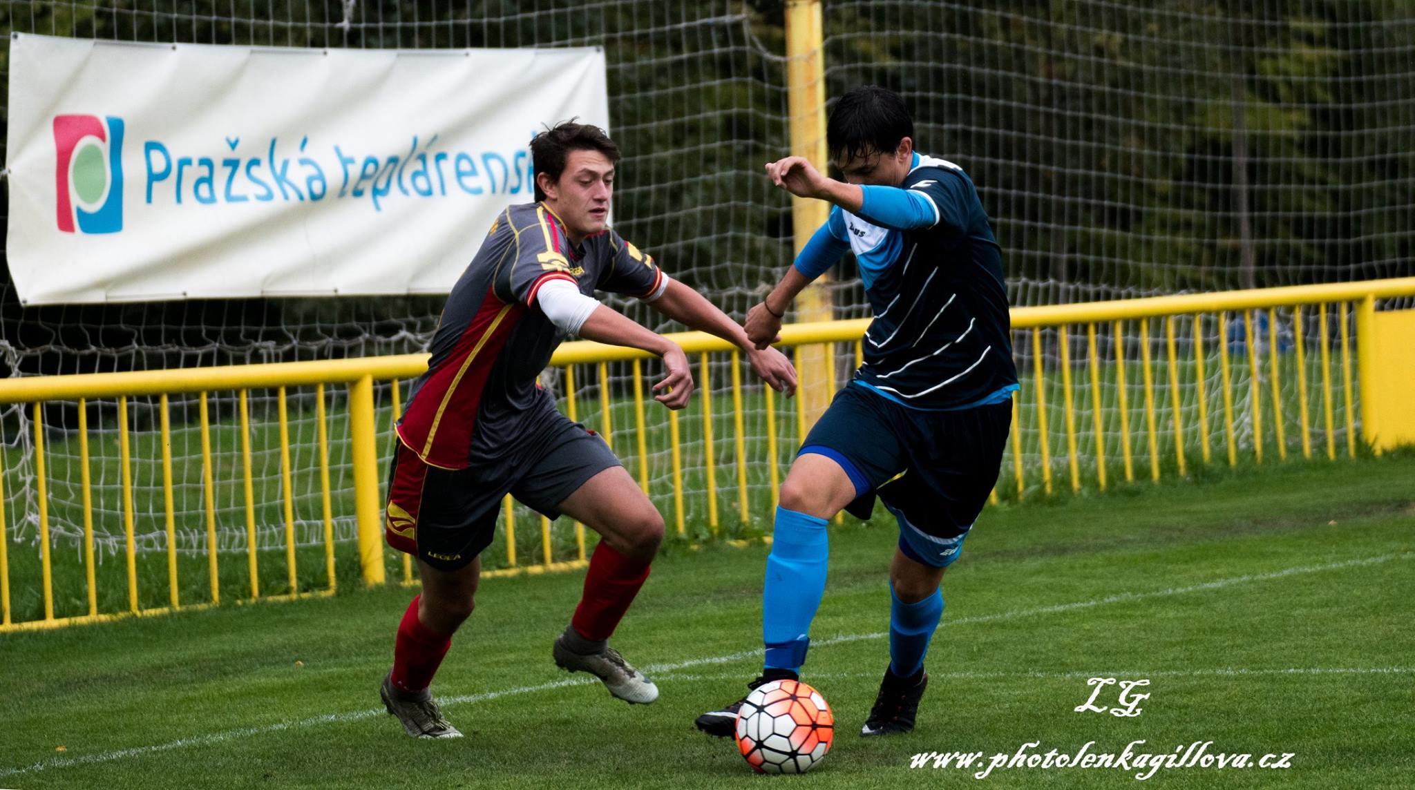 Mlad dorost: Druh porka v ad 