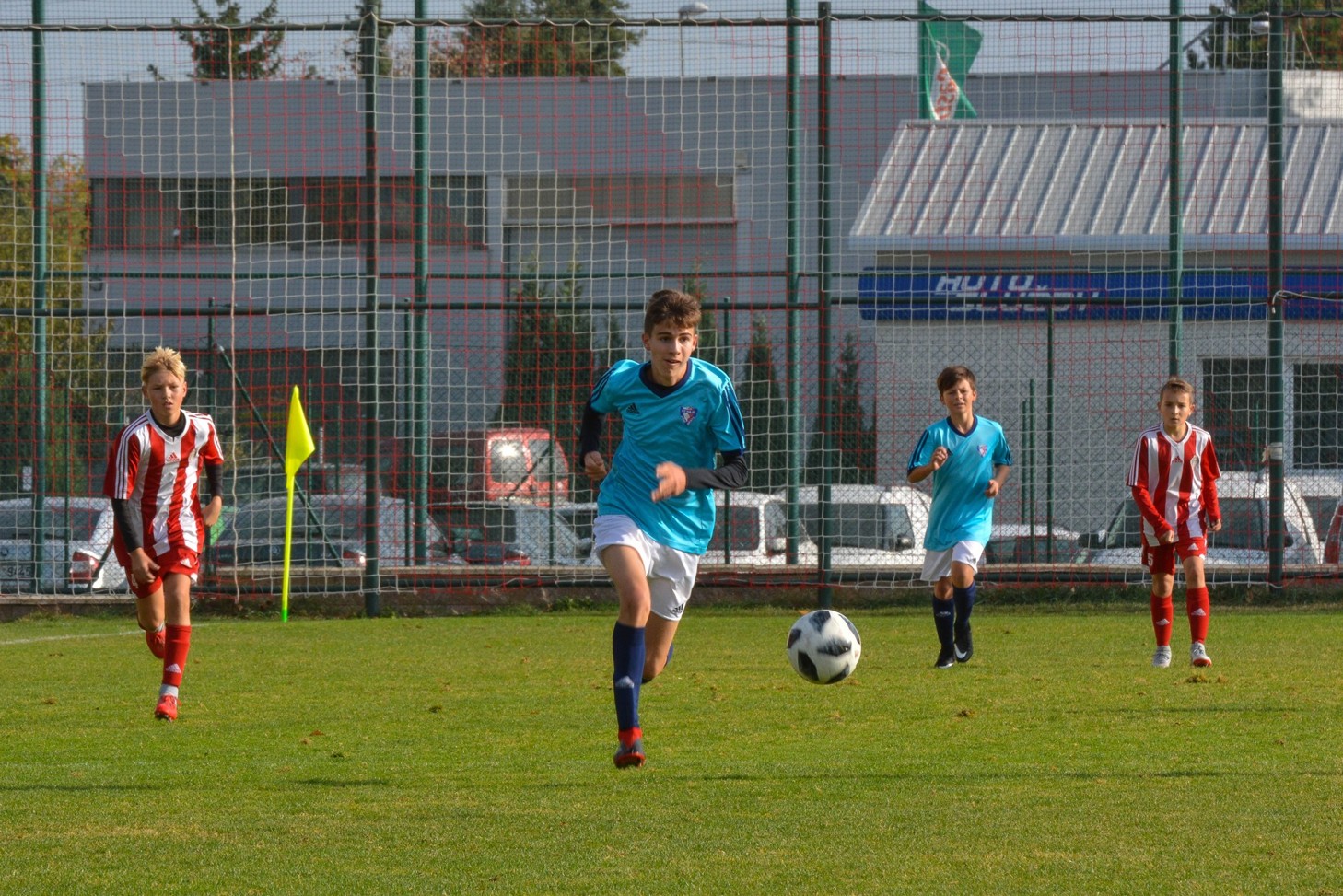 Ronk 2005: kolen z efektivity