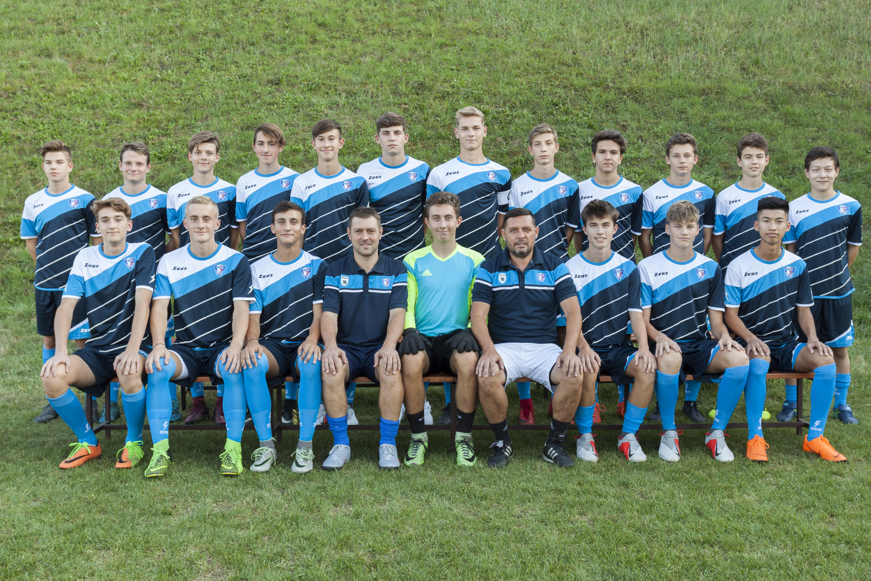 Star dorost: Hodnocen jara 2019