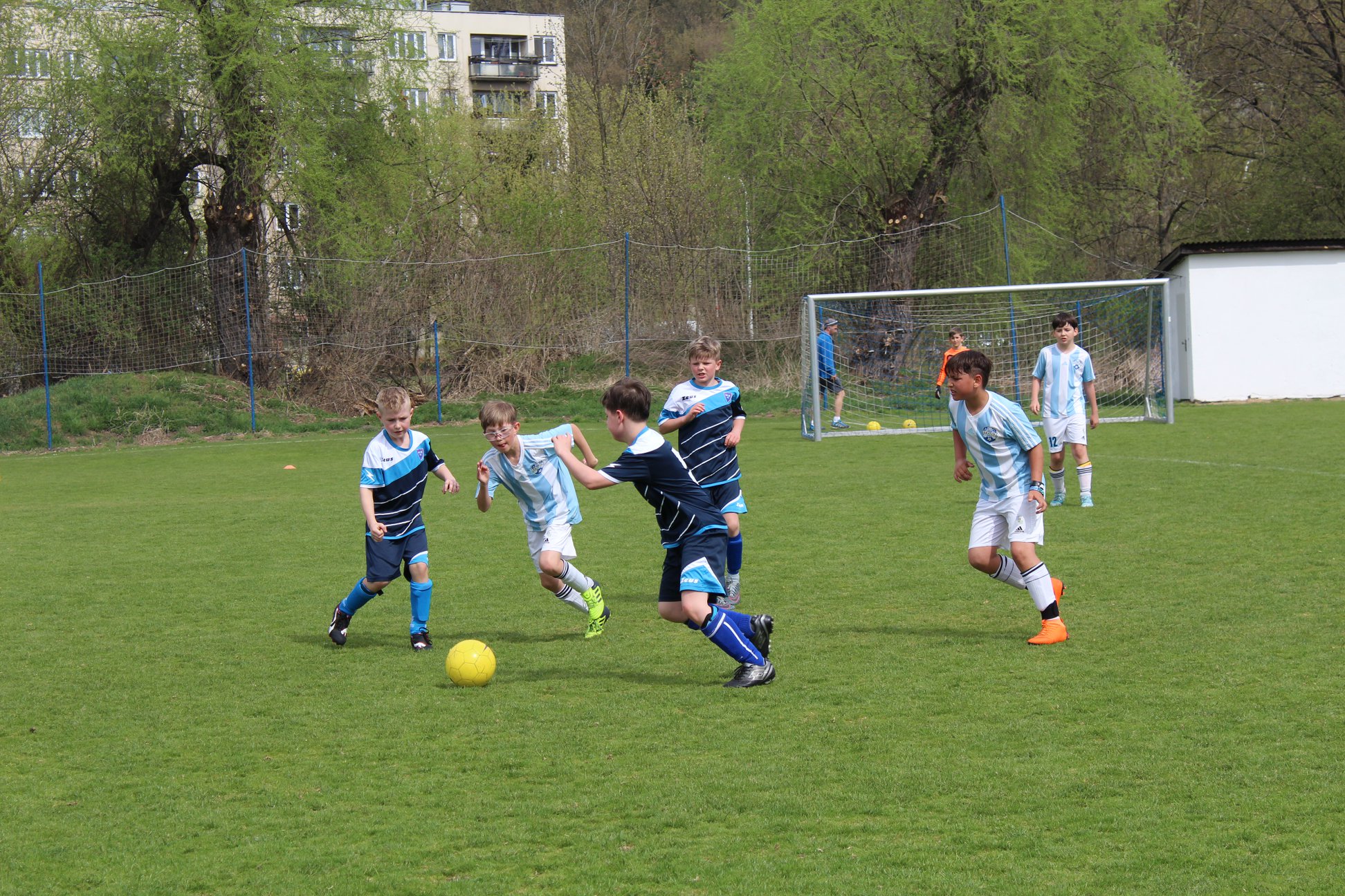 Ronk 2008: Pardn vkon na Branku