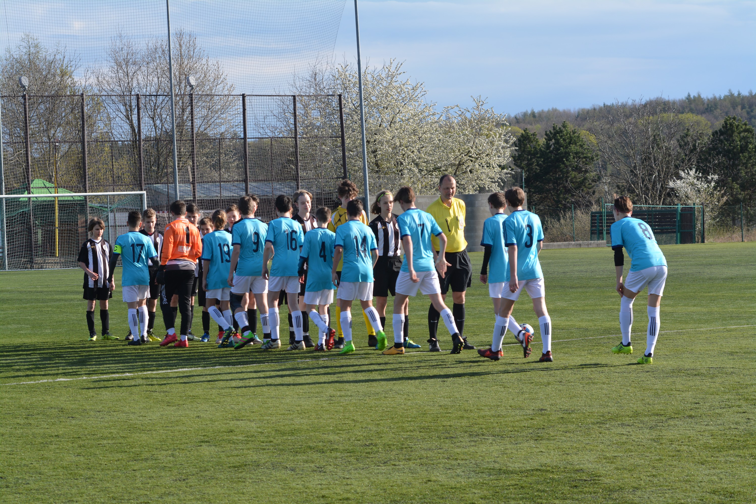 Ronk 2003: Bod doma je mlo