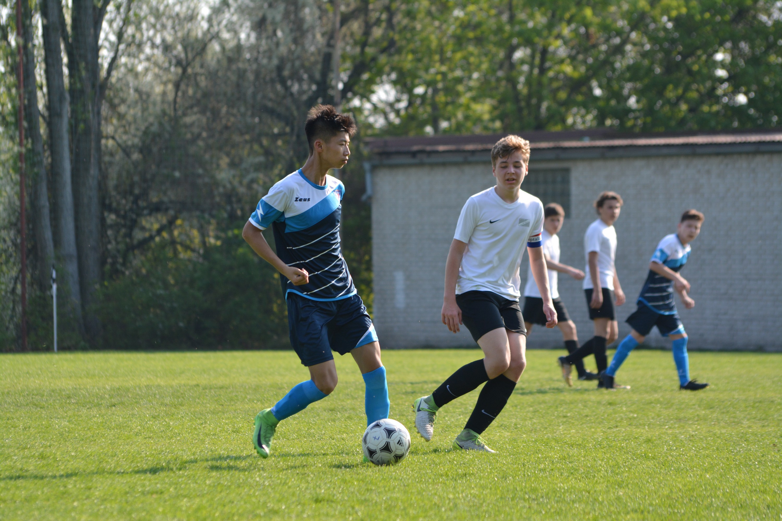 Ronk 2003: Rozhodl a druh poloas