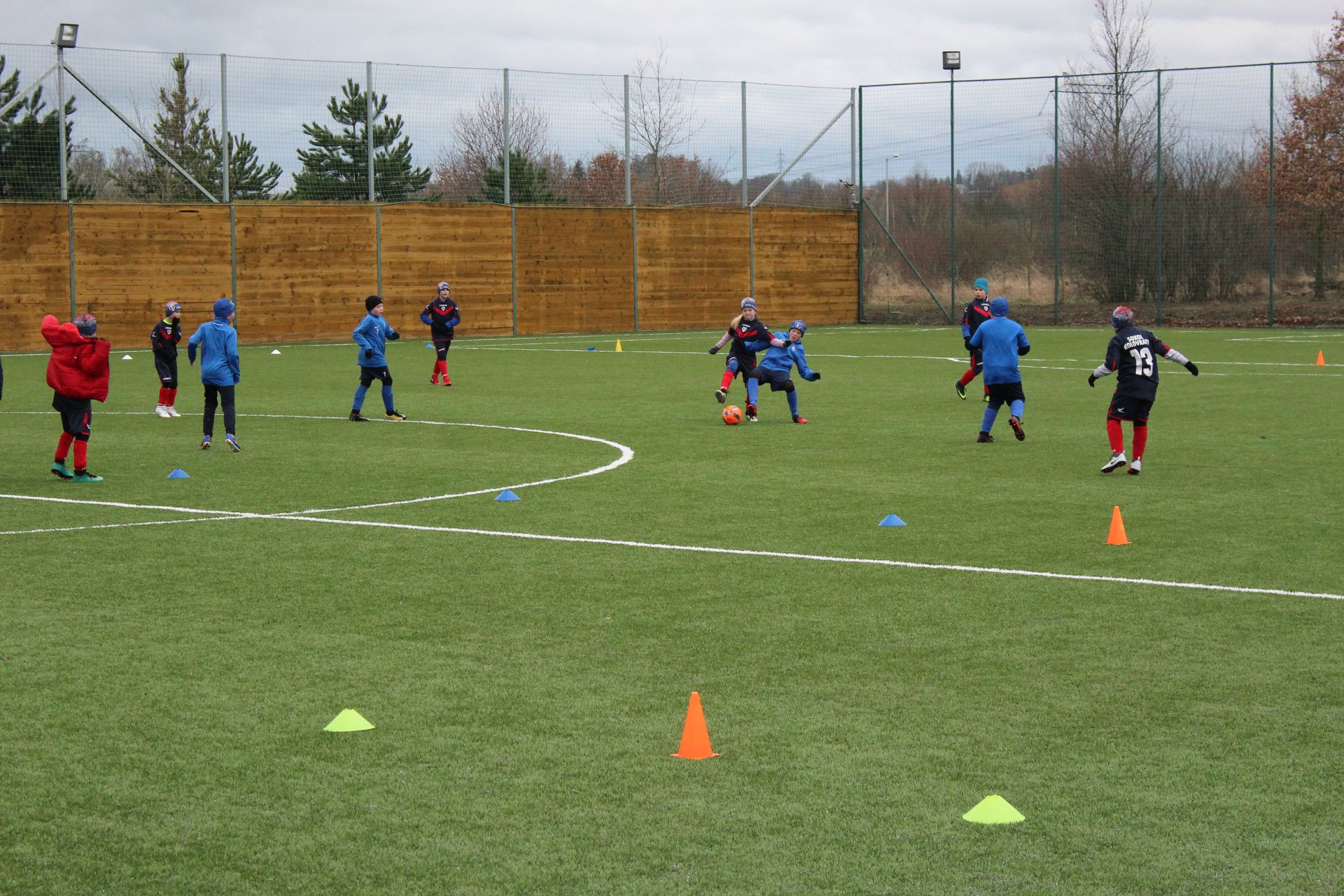 Ronk 2008: spn vstup do JVL