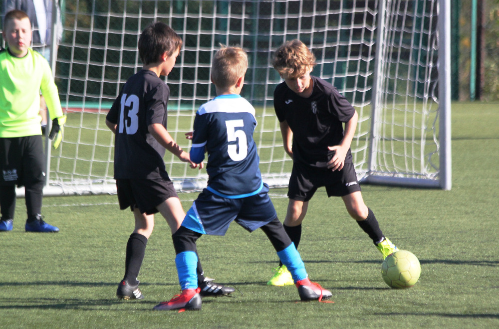 Ronk 2011: Nov tve na hiti 