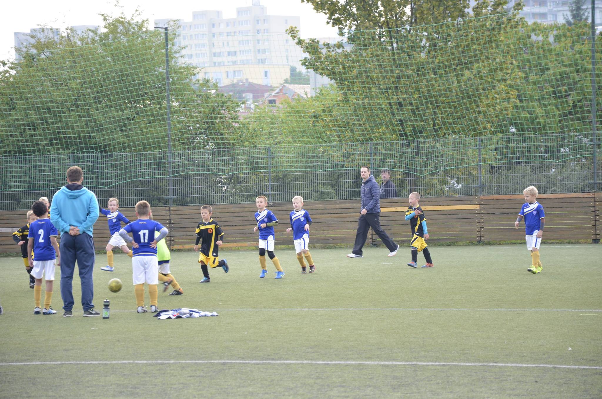 Ronk 2008: Louen s mlad ppravkou